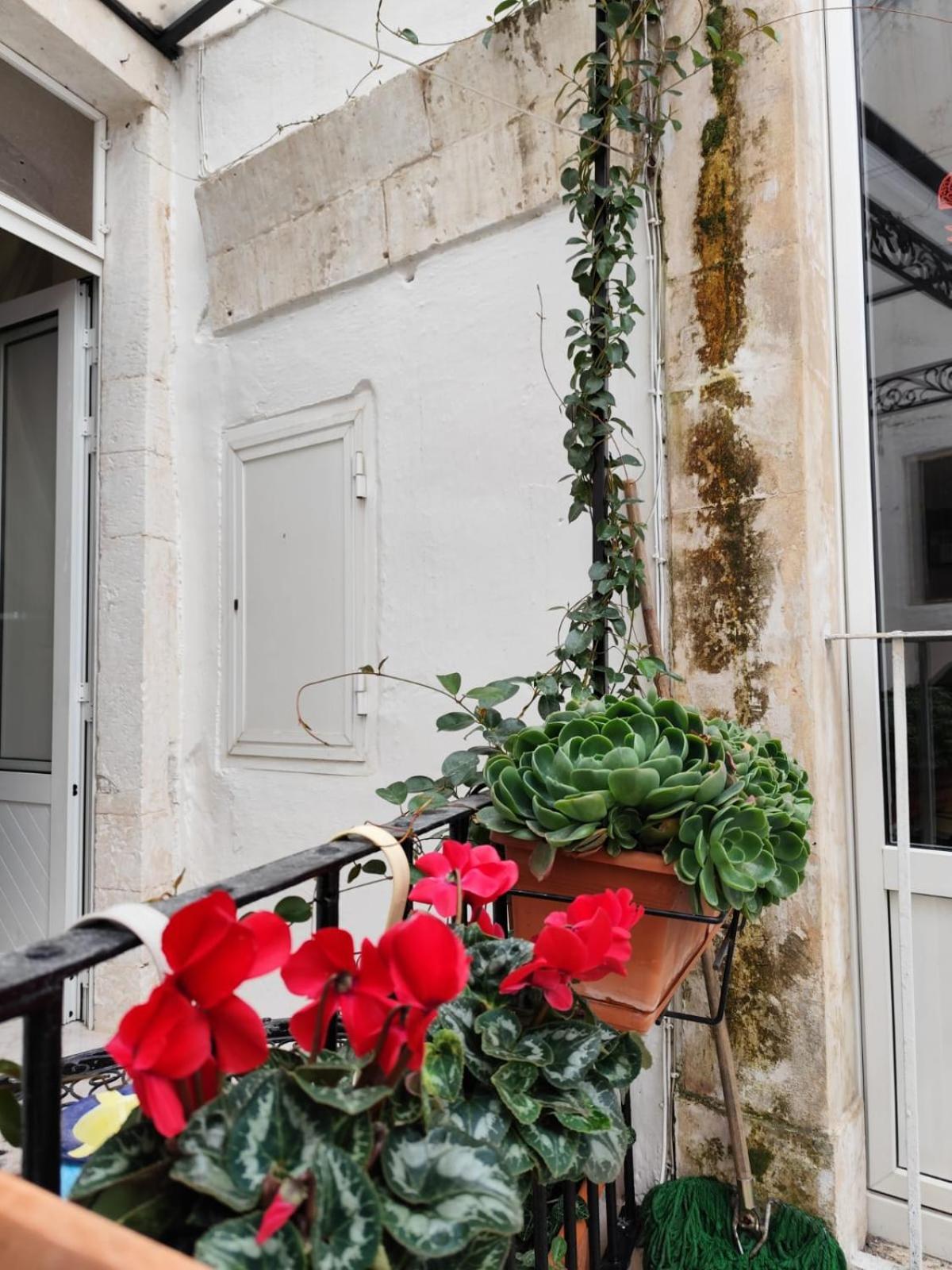Le Mie Meraviglie Martina Franca Ngoại thất bức ảnh